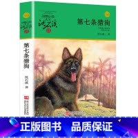 [正版]第七条猎狗沈石溪动物小说品藏书系单本原著初中七年级上册中小学青少年课外读物教辅 7-9-10-12-15岁