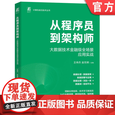 预售 从程序员到架构师:大数据技术金融级全场景应用实战 王伟杰 赵世辉 数据集成 作业调度 实时数仓 数据服务 数据