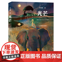 光芒 有鸽子的夏天作者 刘海栖 陈伯吹国际儿童文学奖得主力作 小学生课外阅读 1-6年级课外读物