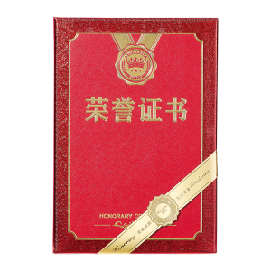 齐心 C5103N 特种纸荣誉证书 12K 红 10本装
