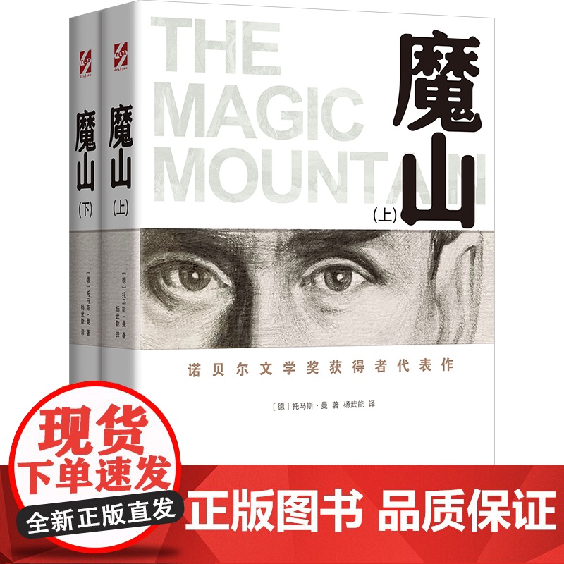 魔山(上下册):杨武能 诺贝尔文学奖得主托马斯曼代表作 初高中学生课外阅读 世界名著文学外国小说正版书籍
