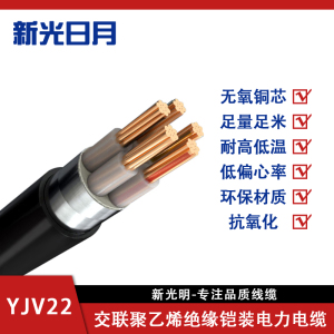 新光日月阻燃交联聚乙烯绝缘铠装电力电缆ZC-YJV22 3×25mm²/米