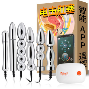 乐乐窝（lelewo） 智能APP无线遥控USB充电金属后庭按摩肛塞肛扩张女用男用脉冲自尉 APP遥控充电主机+5珠肛塞