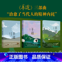 [正版]羊道三部曲 春牧场/前山夏牧场/深山夏牧场 李娟经典散文集 遥远的向日葵地我的阿勒泰记一忘三二现当代文学作品