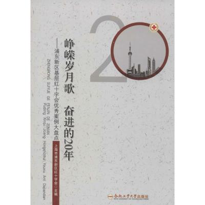 [M]峥嵘岁月歌 奋进的20年-9787565020377