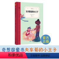 矢车菊街的小王子 [正版]矢车菊街的小王子奇想国童书儿童文学课外读物精装硬壳图画故事书适合6-7-8-10岁儿童故事书奇