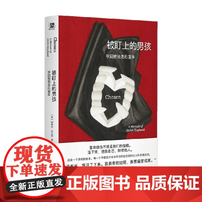 被盯上的男孩 夺回被偷走的童年 斯蒂芬·米尔斯 著 小说