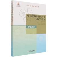 正版新书]中国战略性新兴产业研究与发展:智慧经济孙泽红978711