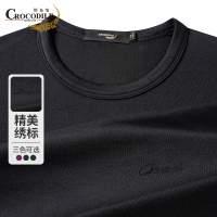 鳄鱼恤CROCODILE 中青年男士T恤商务气质烫画亲肤长袖衫