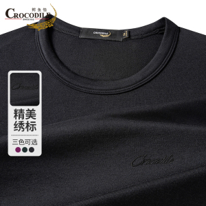 鳄鱼恤CROCODILE 中青年男士T恤商务气质烫画亲肤长袖衫