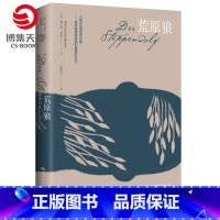 [正版]博集天卷 荒原狼 赫尔曼·黑塞 涂媛媛译 诺贝尔文学奖作品 外国经典文学小说 比肩《尤利西斯》外国名著 热卖书