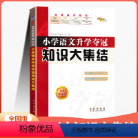 小升初语文 小学升初中 [正版]小学语文知识大集结全新升级版68所名校小升初毕业同步总复习考试辅导资料工具书一二三四五六