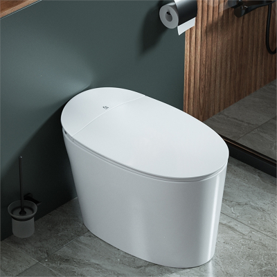 佑恩(youen)无水箱马桶家用脚踢冲水非智能小户型虹吸式脉冲普通座坐