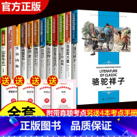 [正版]全套十二本 初中生必读课外书名著 西游记七年级原著骆驼祥子海底两万里朝花夕拾中学生阅读书籍中考12本老师上下册