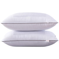 赞属 荞麦两用枕 SX-3ZT4820 个