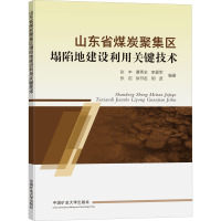山东省煤炭聚集区塌陷地建设利用关键技术