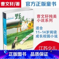 [正版]野风车全套曹 纯美小说系列 初中小学生课外阅读 书籍三四五六年级经典书目江苏凤凰少年儿童出版社安徒生儿童文学