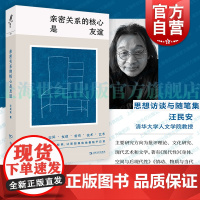 亲密关系的核心是友谊 汪民安著思想访谈随笔集重光relire上海文艺出版社现当代文学正版图书籍艺文志
