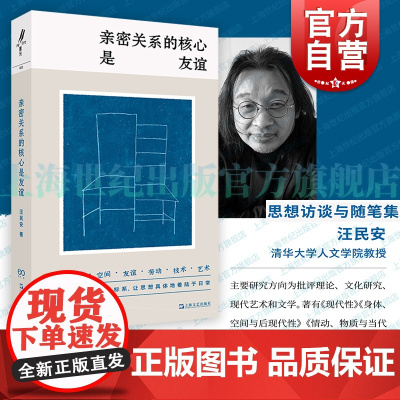亲密关系的核心是友谊 汪民安著思想访谈随笔集重光relire上海文艺出版社现当代文学正版图书籍艺文志