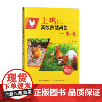正版 土鸡高效养殖问答一本通 317901 李鹏 视频图文学养殖丛书 农业科学 畜禽 养殖