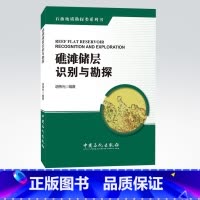 [正版]礁滩储层识别与勘探 胡伟光主编 中国石化出版社