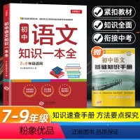 语文 [正版]初中语文基础知识大全初中语文知识大全789七八九年级初一初二初三古诗文言文阅读理解成语知识专项训练中考复习