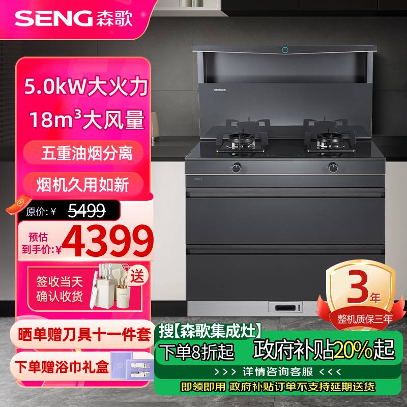 森歌(SENG)集成灶L1 消毒柜款 二星级消毒外观美 大容量 一体式吸烟机燃气灶具 抽油烟机燃气灶 灰色天然气