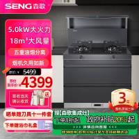 森歌(SENG)集成灶L1 消毒柜款 二星级消毒外观美 大容量 一体式吸烟机燃气灶具 抽油烟机燃气灶 灰色天然气