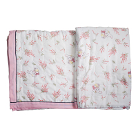 步宽 棉小棉空调被 200cm*230cm/床