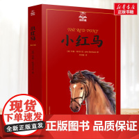 小红马 夏洛书屋系列 小学生二年级三年级四年级课外书寒暑假阅读7-8-9-10岁新华正版图书知识拓展阅读