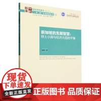 新加坡的发展智慧:领土小国与经济大国的平衡 夏敏著 中国社会科学出版社 正版书籍