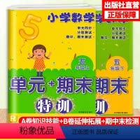 [正版]小学数学单元+期末特训五年级上下2册配人教版数学单元同步测试卷附答案期末复习测试习题 5年级上下册数学课外习题