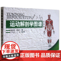 运动解剖学图谱修订第3版 肌肉塑造教程全书 人民体育健身书籍 健美训练图解 顾德明 医学实用性人体图谱 运动生理学