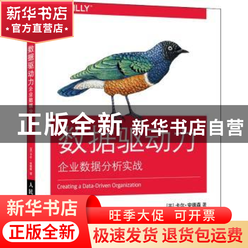 正版 数据驱动力 企业数据分析实战 [英]卡尔·安德森 人民邮电出