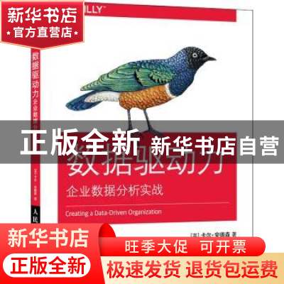 正版 数据驱动力 企业数据分析实战 [英]卡尔·安德森 人民邮电出