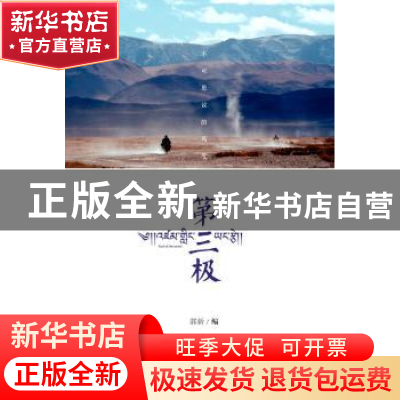 正版 第三极 郭新 著 五洲传播出版社 9787508531632 书籍