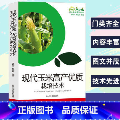 [正版]现代玉米高产优质栽培技术农业种植系列读物生产概况良种选择品种介绍型玉米栽种利用优质高产栽培技术科学施肥管理病虫草