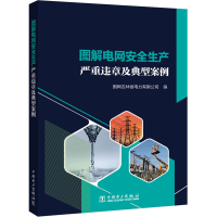 [M]图解电网安全生产严重违章及典型案例-9787519873066