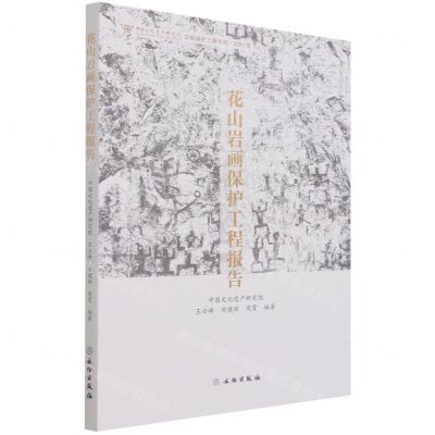 [N]花山岩画保护工程报告(2021年)/中国文化遗产研究院文物保护工程系列-9787501066551