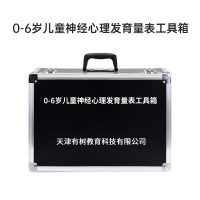 有树 YSXL-BABY01 0-6岁儿心量表2儿童神经心理行为发育商筛查早教教具
