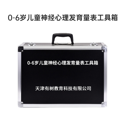 有树 YSXL-BABY01 0-6岁儿心量表2儿童神经心理行为发育商筛查早教教具