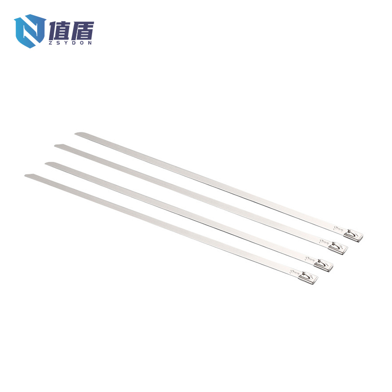 值盾 ZSYDON 304不锈钢扎带 4.6*600mm 条