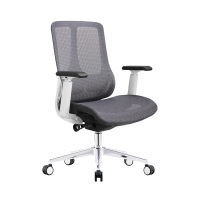 臻远 ZY-8952 办公椅人体工学椅转椅 3D扶手 白框 单位:把