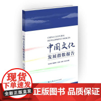 中国文化发展指数报告