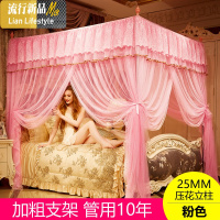 新款网红加密加厚宫廷蚊帐1.5/1.8m2米床2.2双人家用支架公主纹账 三维工匠