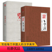 [正版]发现汉字/图说字源(精装2册)唐汉 汉字文化研究 中华文化汉字发展史 方块字发展起源 甲骨文象形文小篆隶书 文