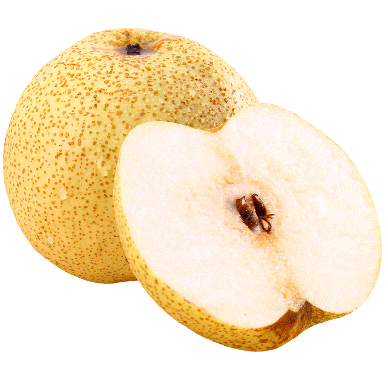 现摘砀山酥梨新鲜水果梨子5斤当季雪梨砀山梨酥梨 新鲜水果