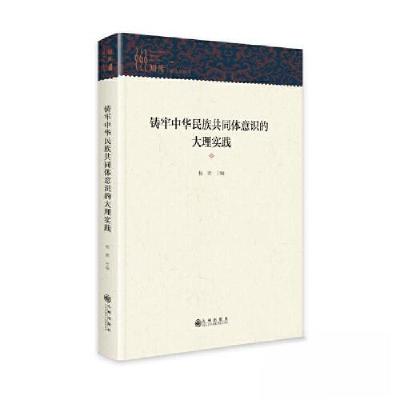 正版新书]铸牢中华民族共同体意识的大理实践杨艳9787522524511