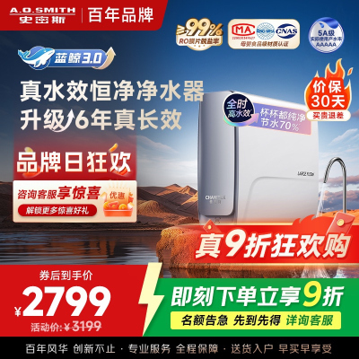 史密斯A.O.SMITH升级款CR2500AE1 1000G大流量净水器 厨下式8000升长效净化 6年RO膜低废水比