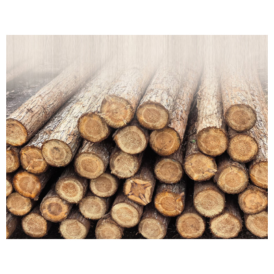 防汛木桩 3米 5米